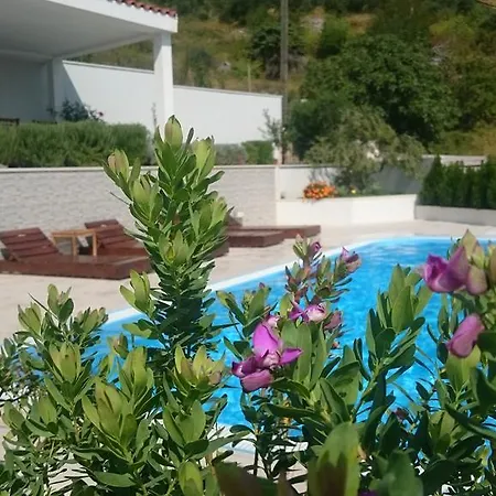 Berina